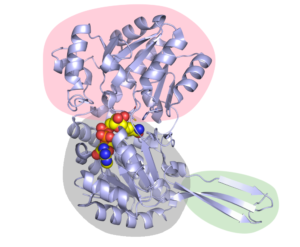 Figure 2